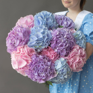 Открытое небо