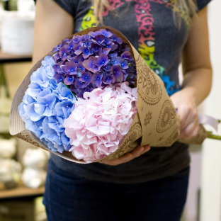 Букет из 3 гортензий