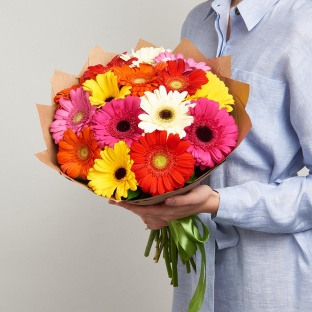 15 гербер микс