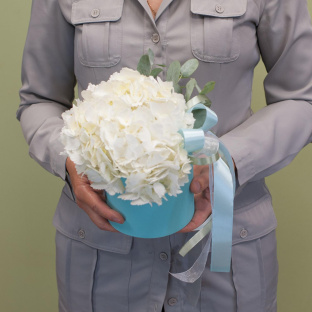 Белая гортензия