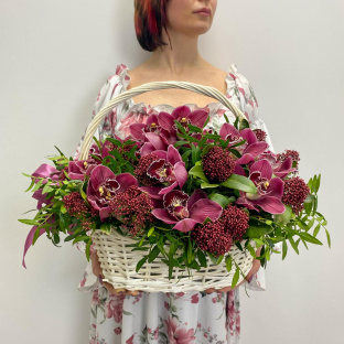 Винные краски