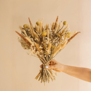 Ветер в поле