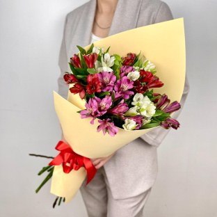 Альстра мини