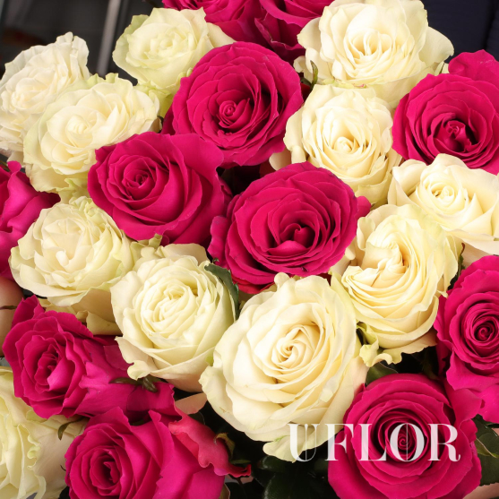 25 белых и розовых Эквадорских роз 70см
