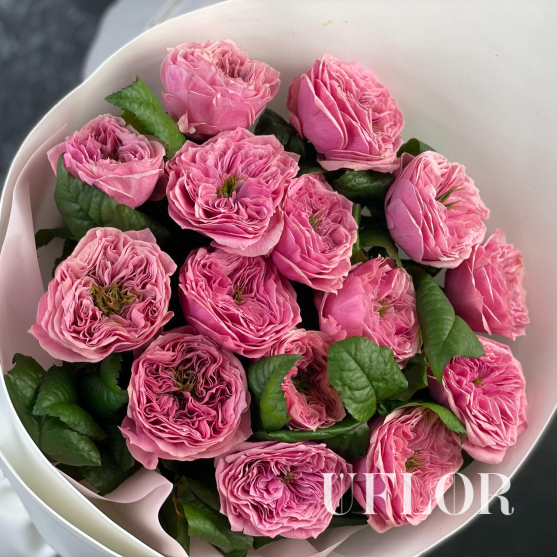 15 роз Реджентс Парк в фоамиране