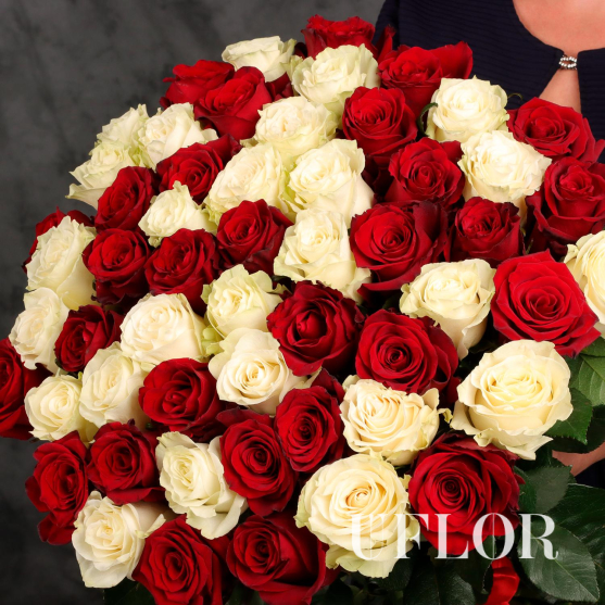 55 красных и белых Эквадорских роз 70см